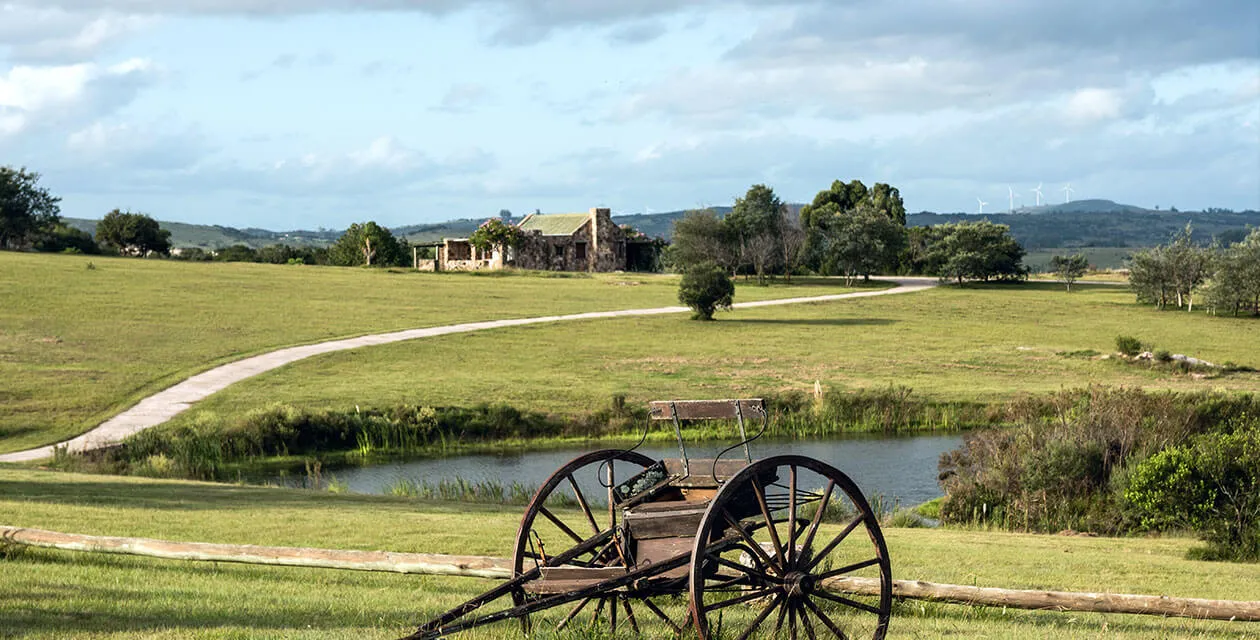 countryside farm and pond