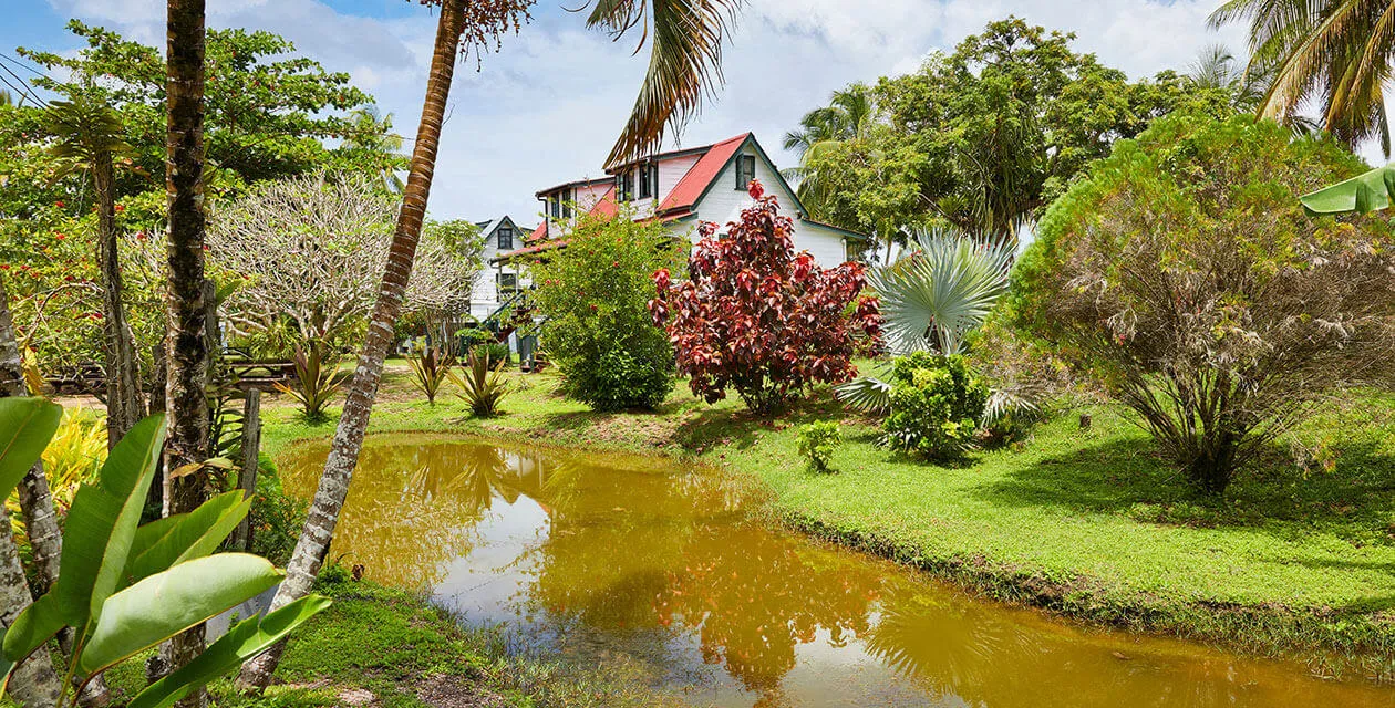 plantation in suriname