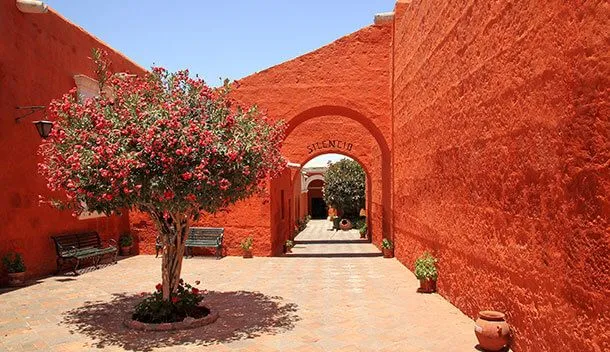 red walls and beautiful tree in the santa catalina monastery