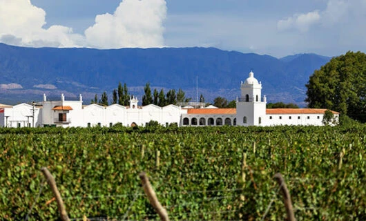 winery in mendoza