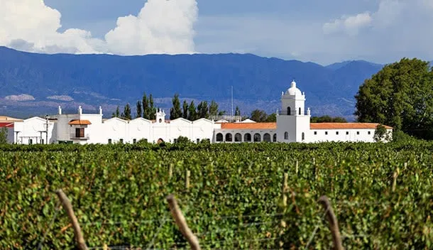 winery in mendoza