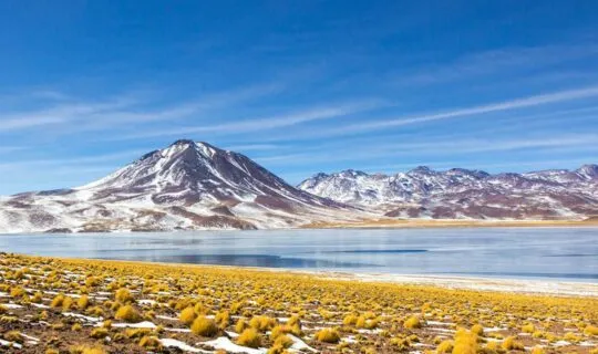 Lagoon in the Atacama Desert Chile