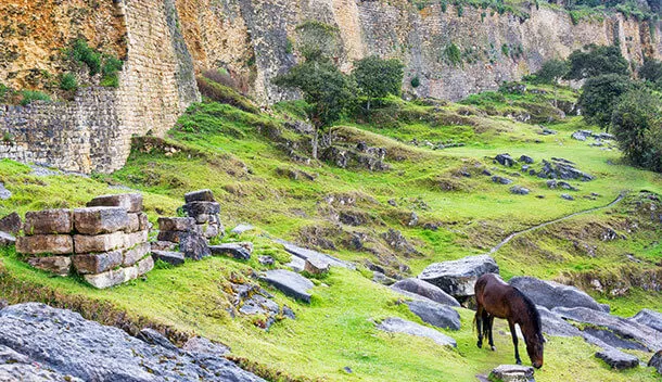 horsegrazing near kuelap fortress