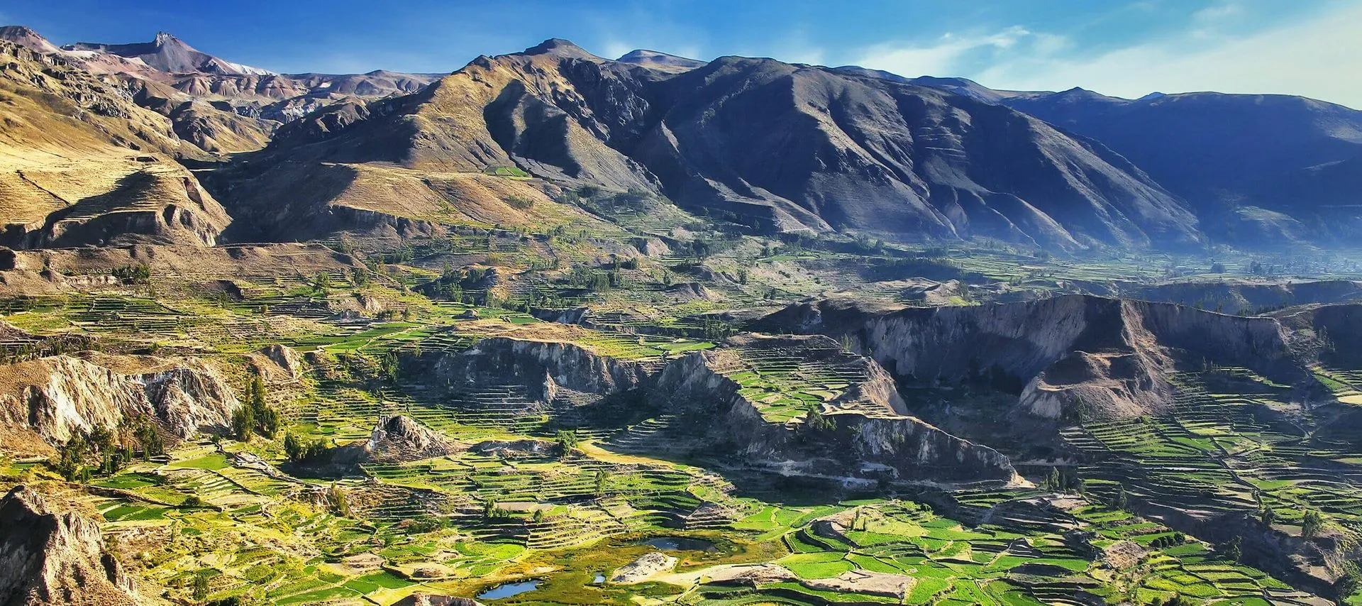 terraces in colca canyon peru