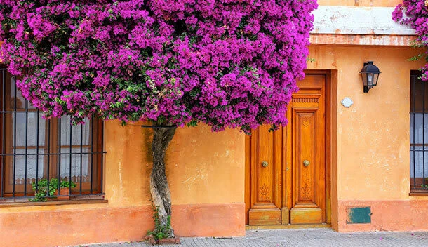 colonia del sacramento