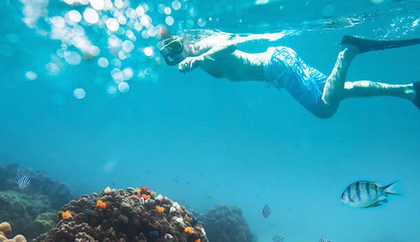 person snorkeling in the galapagos