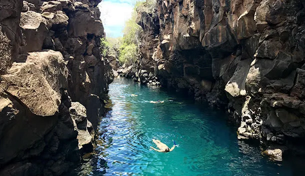 snorkeling on santa cruz island