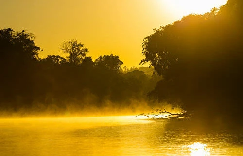 Amazon Cristalino Lodge Brazil
