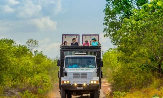 safari into the savanna in brazil