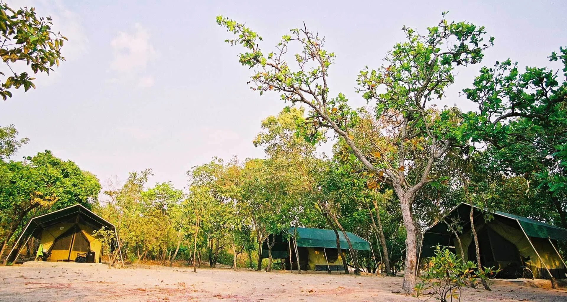 safari camp near the Novo River in Brazil