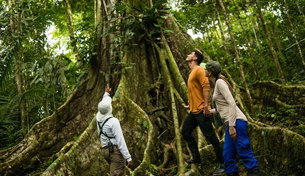 couple exploring the amazon rainforest